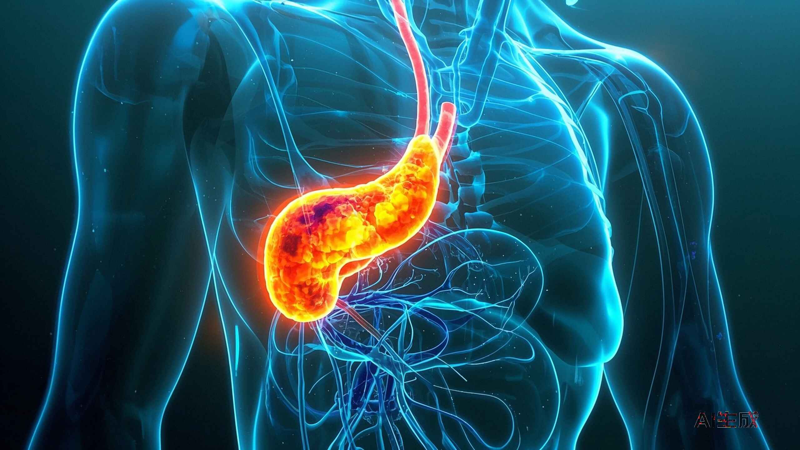 科普，了解胰腺恶性肿瘤：有效识别与科学应对封面图