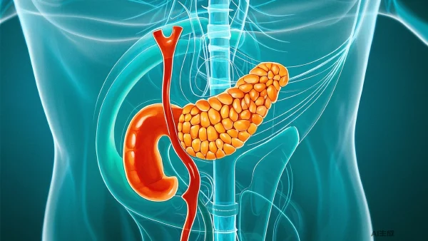 胰腺癌的分类、诊断与治疗:科学管理指南