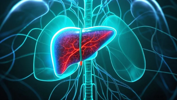 肝癌:科学诊断与综合治疗策略详解
