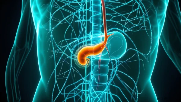 胰腺癌危机信号解析,您不能忽视的健康提醒