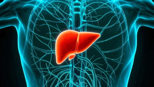 从脂肪肝到肝癌：全面了解肝脏健康之旅