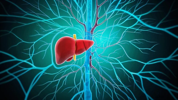 肝癌的病因、诊断、分期与治疗全解