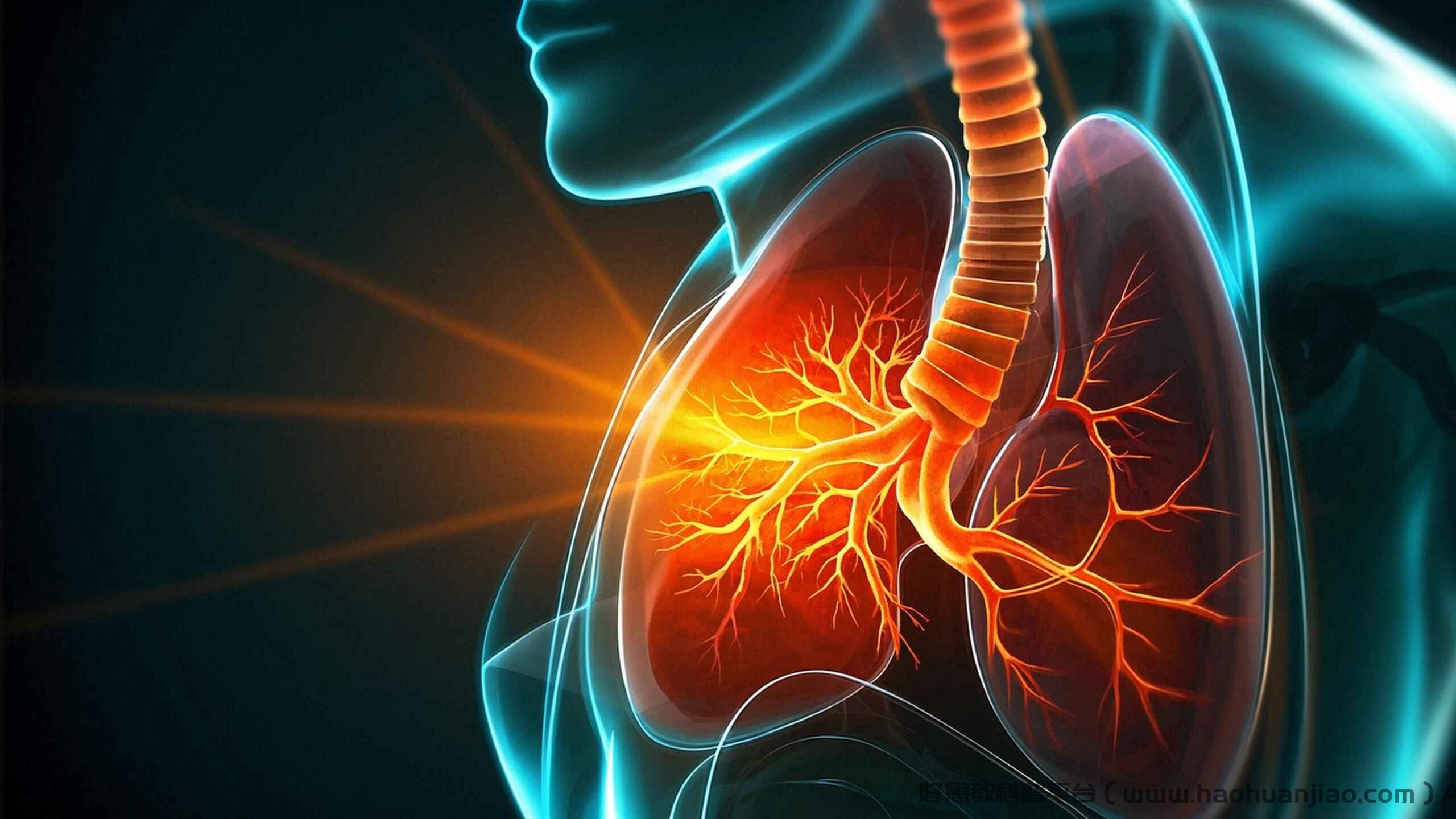科普，急性支气管炎：全面解读与科学管理封面图