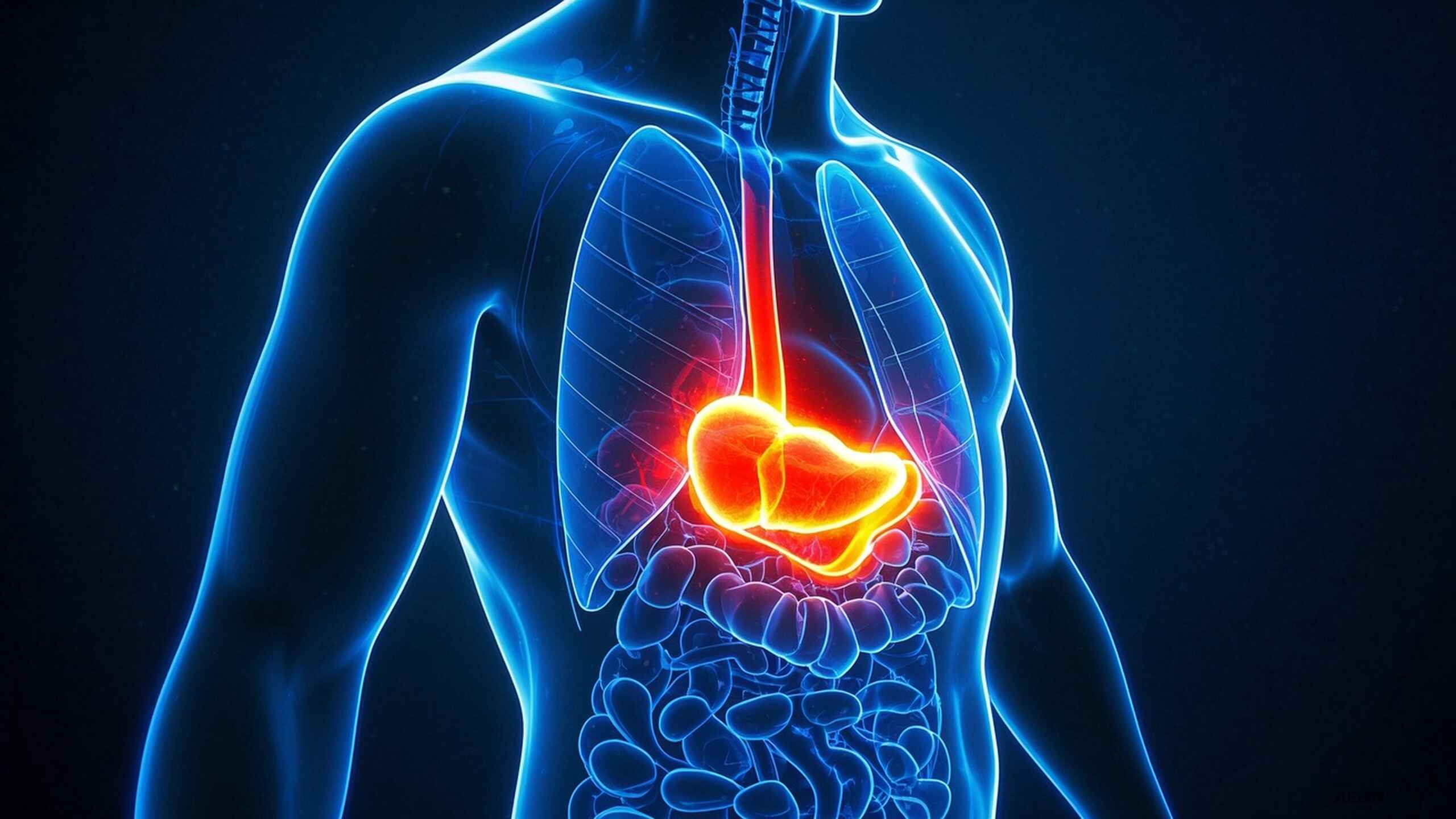 科普，胃癌科普：<span style="color: #da4707">放射科</span>视角下的健康认知<span style="color: #da4707">指南</span>