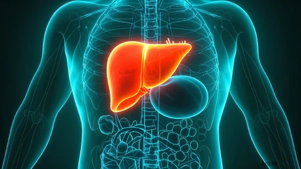 丙肝传播途径揭秘：共用餐具真的会传染吗？