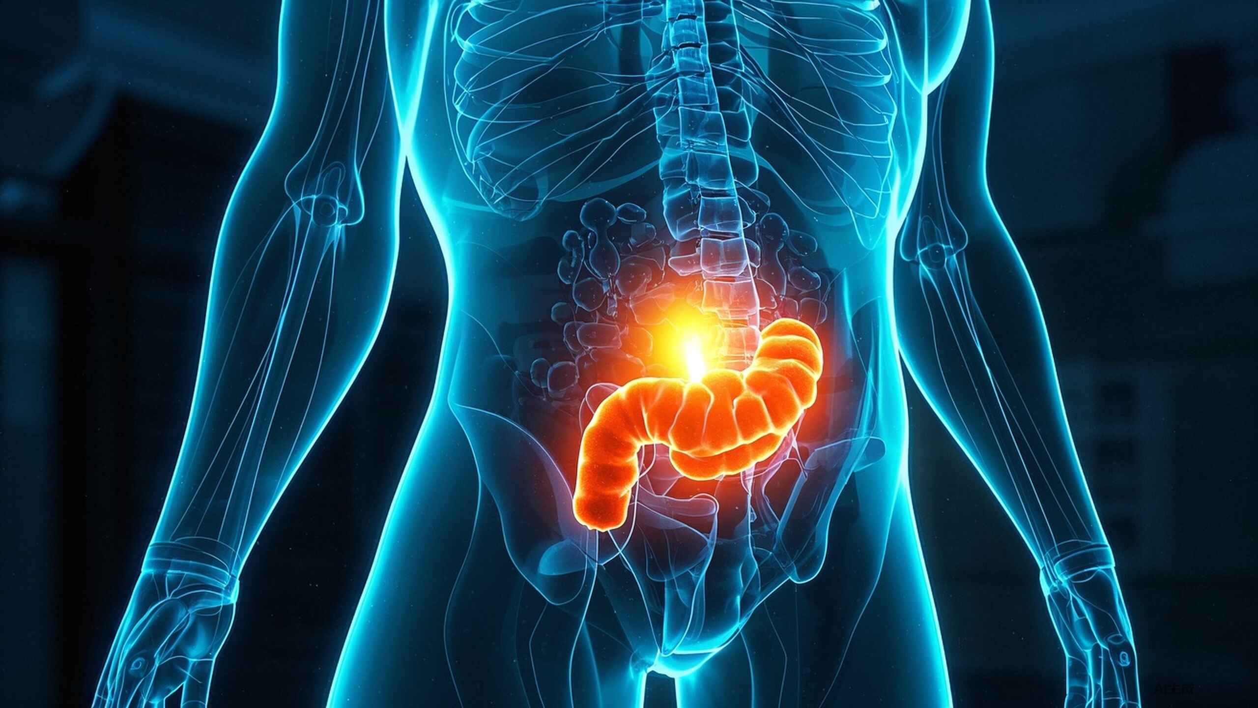 科普，直<span style="color: #da4707">肠癌</span>：全面认知与<span style="color: #da4707">科学管理</span> 🩺