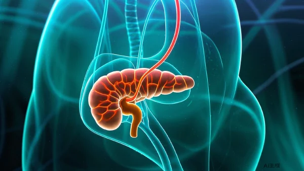 胰腺癌症状与诊断指导：了解早期信号和治疗方案