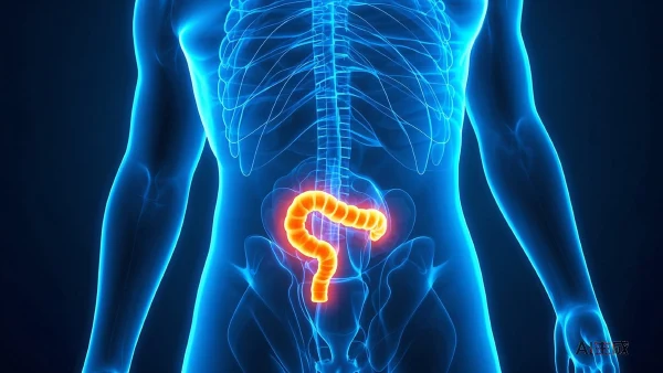 乙状结肠癌全流程健康指南:风险分析与实用行动建议