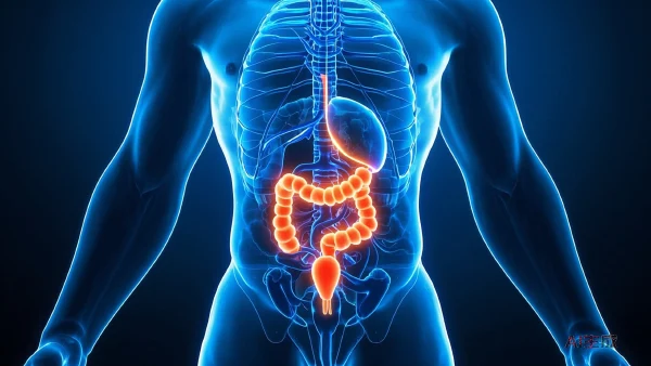 深入了解结肠恶性肿瘤：症状、成因与科学应对策略