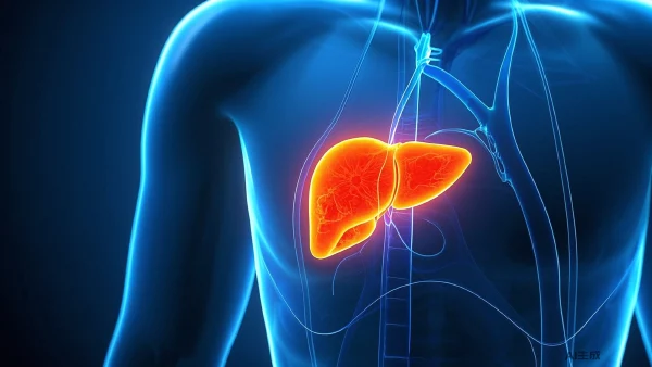 麻醉在肝恶性肿瘤手术中的应用与管理