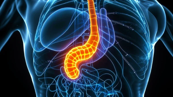 胰腺癌早期症状及治疗全攻略 | 健康管理必看