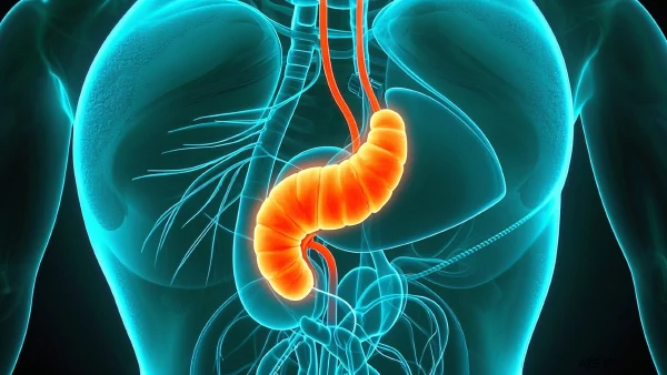 急性胰腺炎简介:症状、表现与自我监测指南