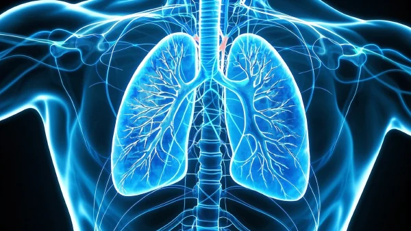 支气管扩张咯血的背后：探索治疗方法的全景