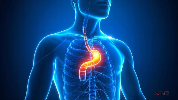 食管癌：你需要了解的关键知识与应对建议