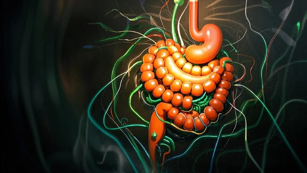 肠道健康不容忽视——揭秘老年直肠癌的防治密码!