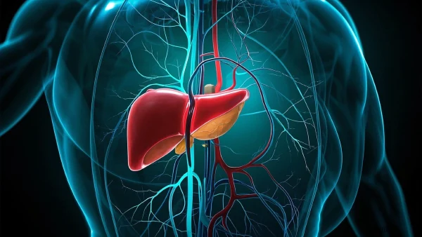 肝硬化与门静脉高压:出血隐患与预防之道