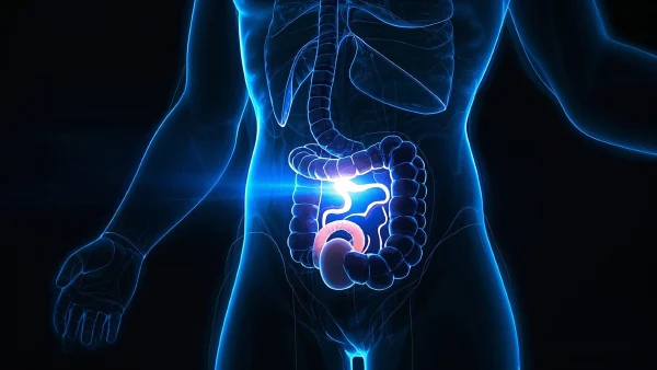 直肠恶性肿瘤的诊断与治疗：什么是直肠癌？我们该如何应对和预防？