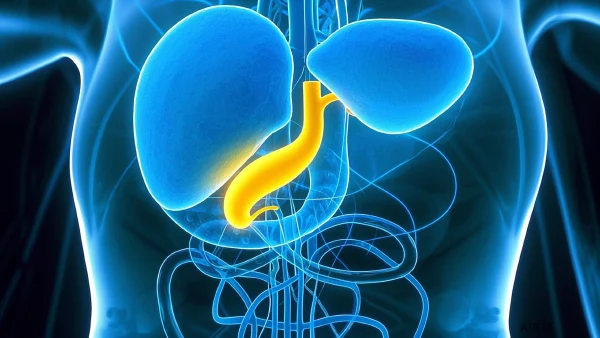 胆囊结石伴炎症?有效手术与麻醉指南