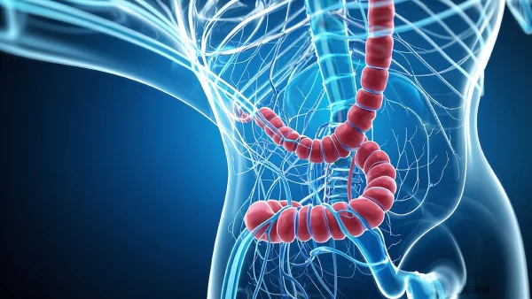 深度解析直肠恶性肿瘤:从诊断到治疗的全景指导