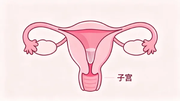 卵巢癌防治:读懂风险与守护健康的关键