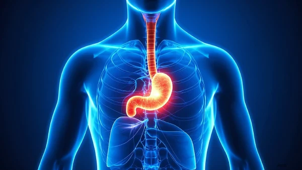 深入探讨食管恶性肿瘤：认识、预防与治疗