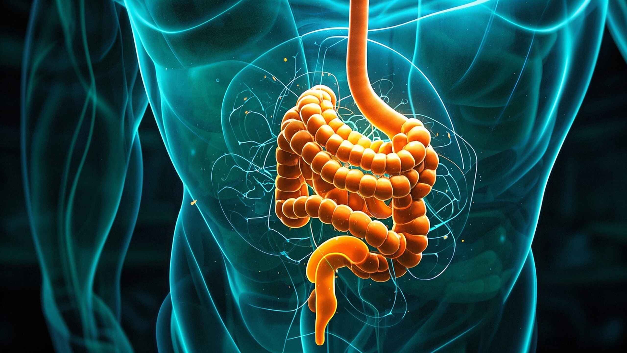 科普,结肠恶性肿瘤:你需要知道的一切!封面图