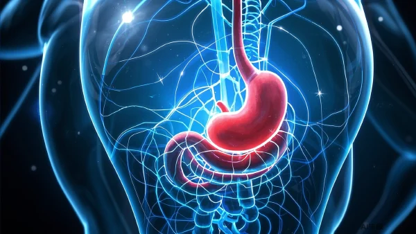 胃癌早期信号与科学防控全解析