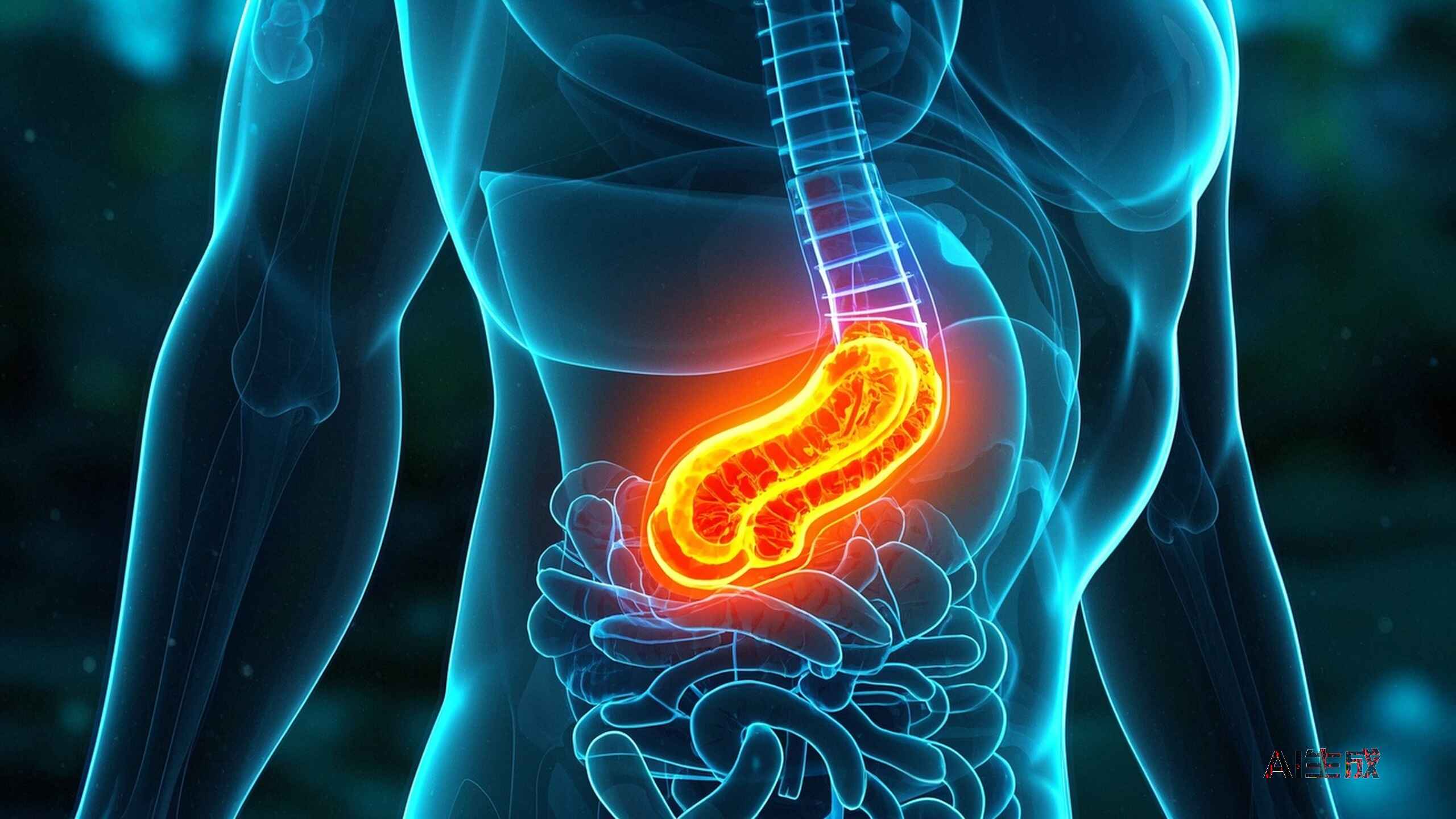 科普，了解结肠占位性<span style="color: #da4707">病变</span>及其<span style="color: #da4707">应对</span><span style="color: #da4707">策略</span>