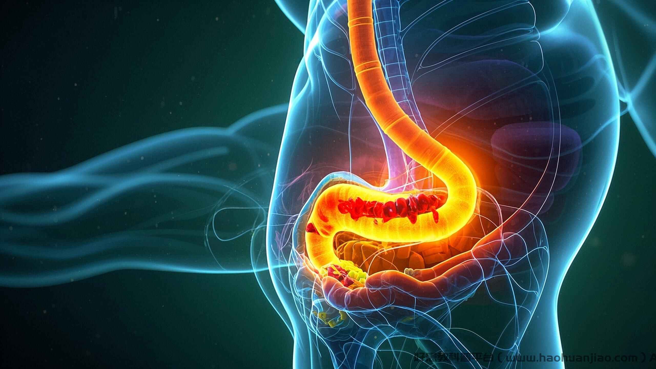 科普，揭秘慢性消化系统疾病：胃炎与反流性食管炎的全方位解析封面图