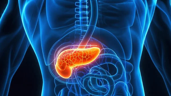 胰腺癌：关键知识、症状、病因及管理策略