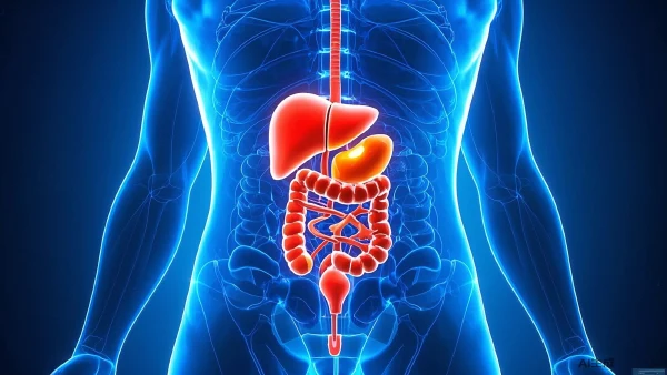 腹部损伤如何处理？及时应对避免恶化