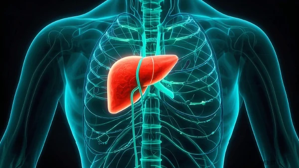 肝恶性肿瘤:全方位了解疾病管理及治疗策略