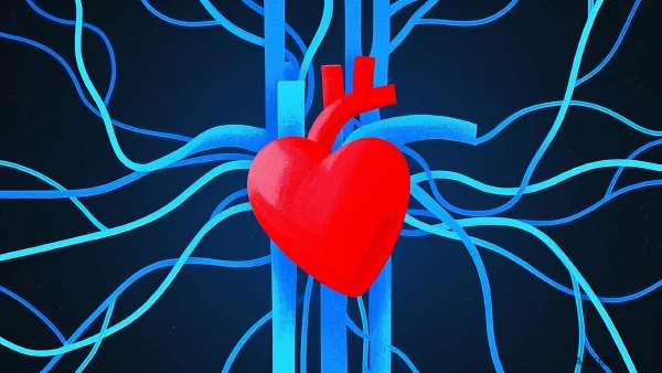 心脏磁共振检查的全面指南：步骤、准备及结果解读