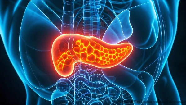 全面解析急性胰腺炎:诊疗与护理的最佳实践