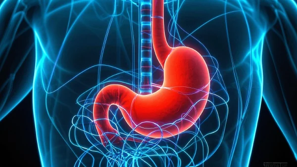 胃里的“顽石”：解读胃石与胃溃疡的医学奥秘