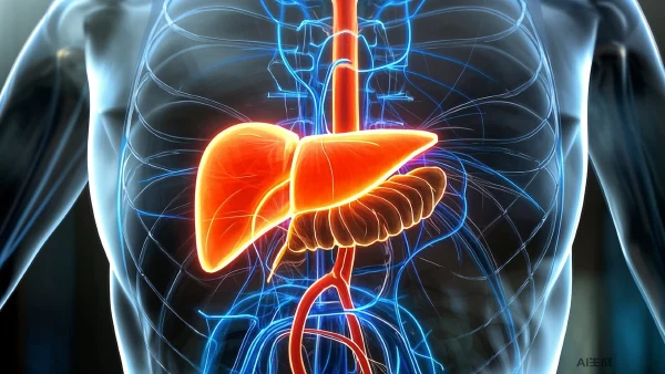 胆囊结石与胆囊炎的全面解析