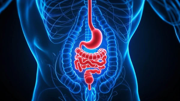 全面解析感染性腹泻:诊断、治疗及管理