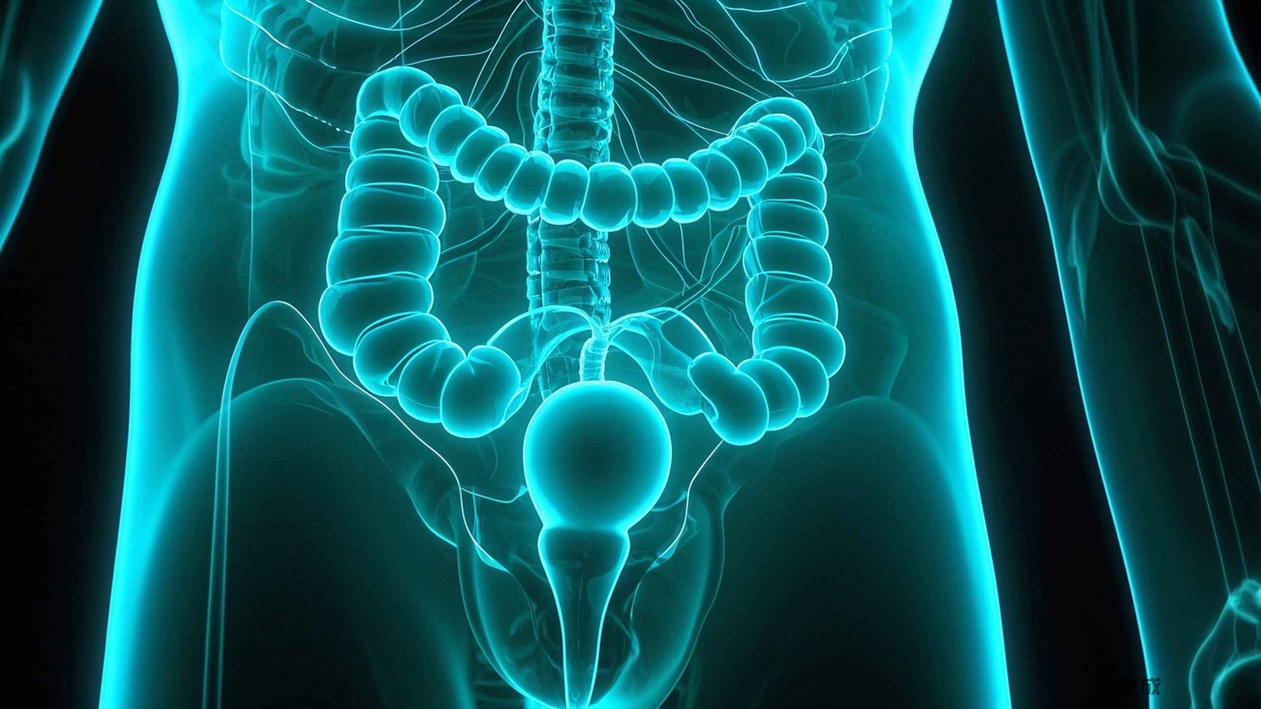 科普，肠道健康响起警钟——直肠癌该如何科学应对？！封面图