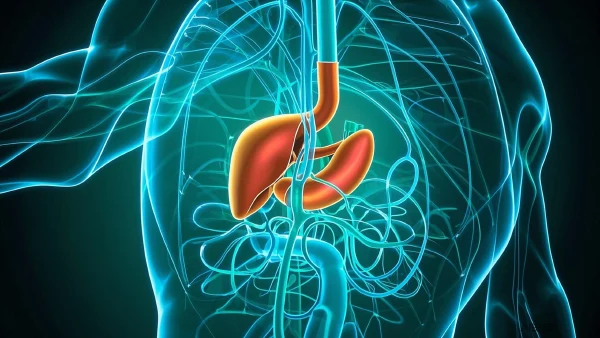 胆囊结石及其合并症：分类、诊断与治疗详解