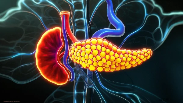 关注消化系统健康：您必须了解的胰肠吻合口溃疡