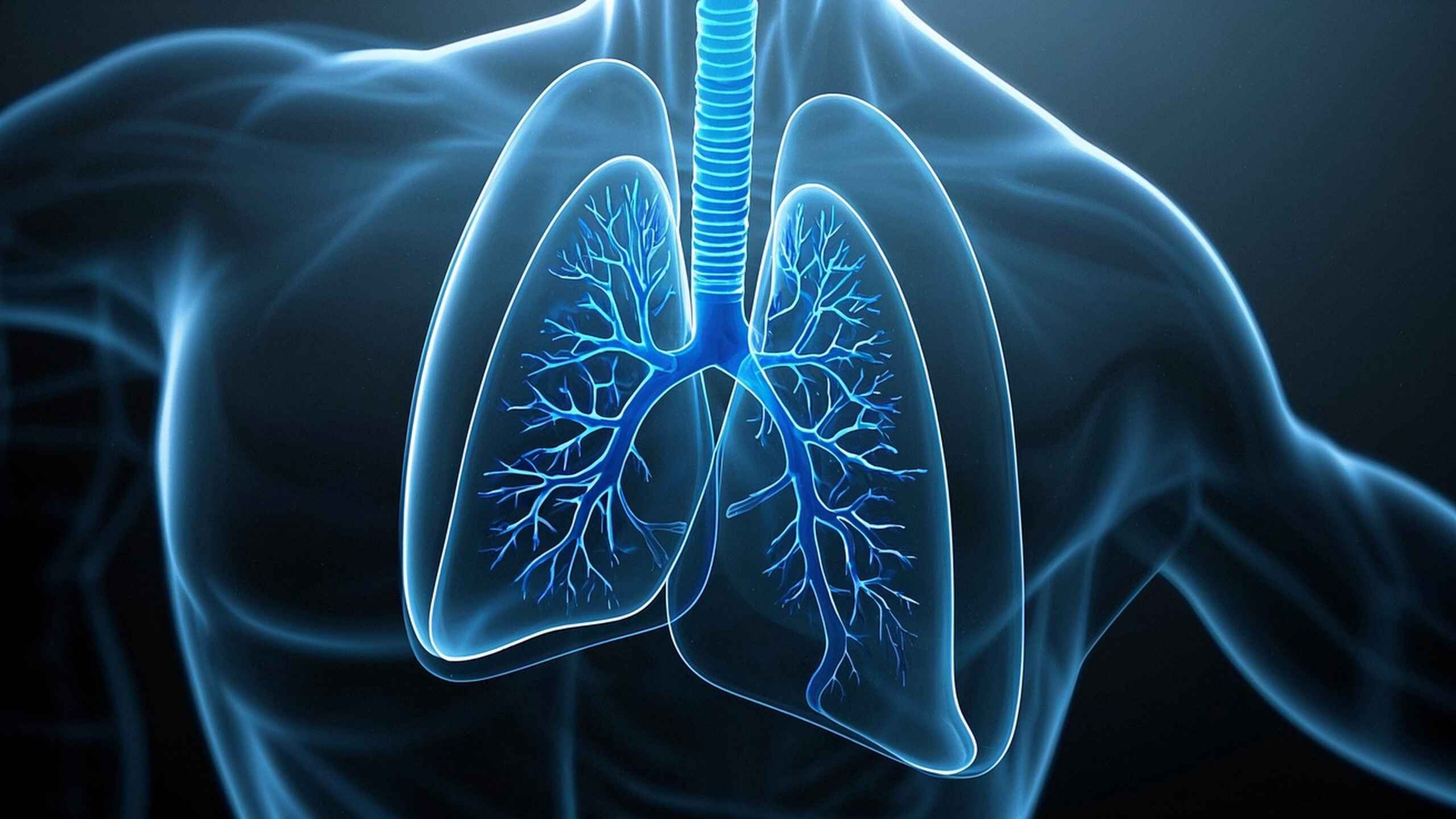 科普，早期<span style="color: #da4707">肺癌</span>的诊断与<span style="color: #da4707">管理</span>：从发现到<span style="color: #da4707">康复</span>的全面指南