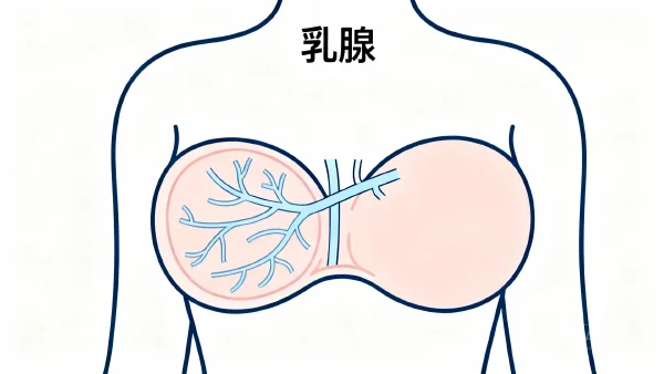 乳腺癌PT1N0M0 药品使用指南：安全用药关键细节全解