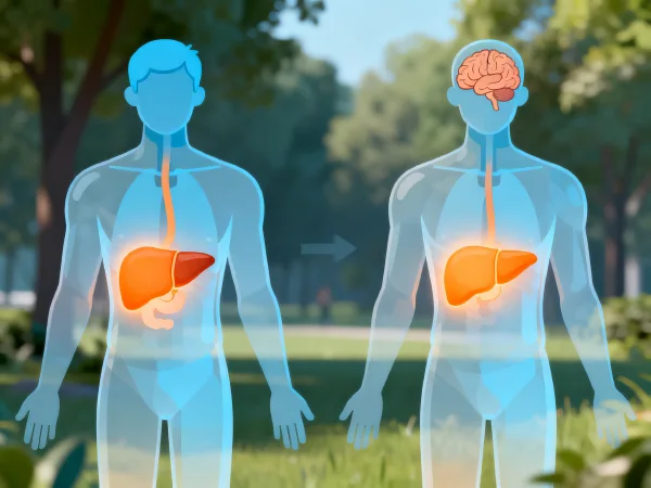 慢性中度乙型病毒性肝炎:科学管理与日常防护全指南