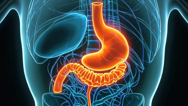 smarca4缺失型胃恶性肿瘤的现代诊疗策略