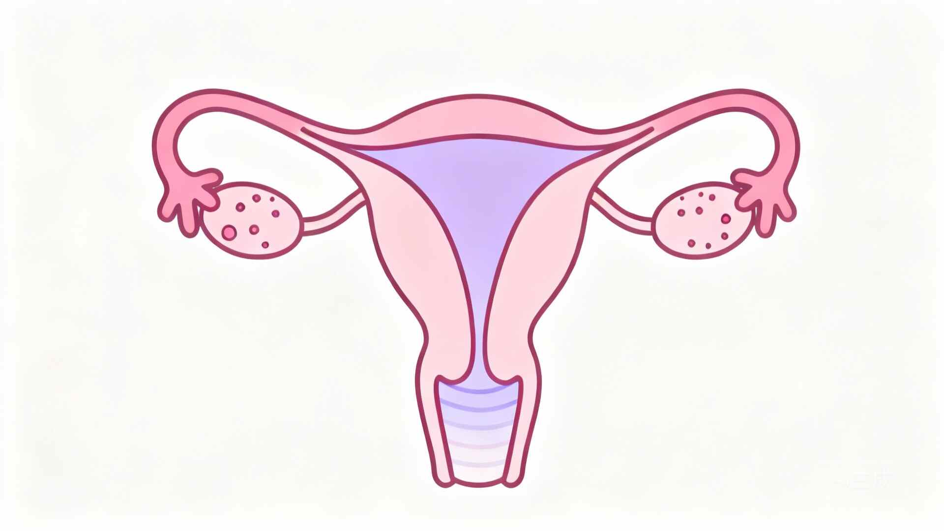 科普，子宫内膜癌<span style="color: #da4707">综合</span><span style="color: #da4707">科普</span>知识指南