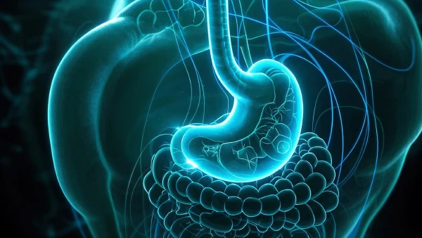 胃癌知识全解析:症状、诊断与治疗方法