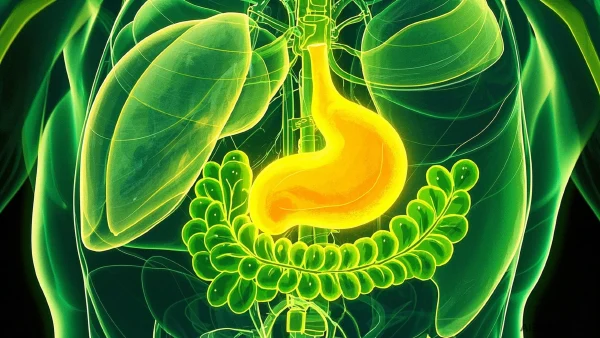 胆囊里的小石头——别让疼痛偷走你的健康!