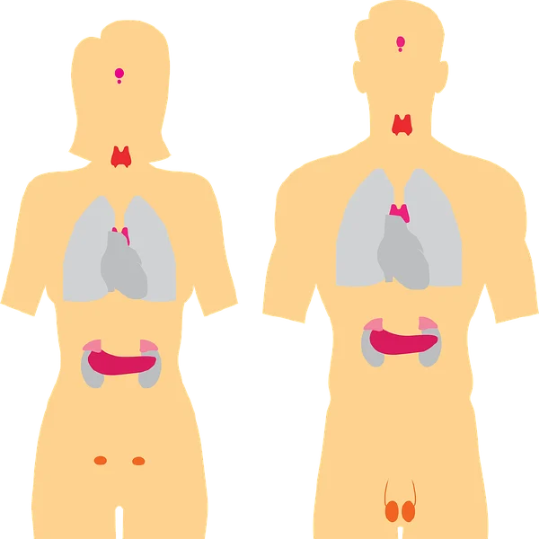 不可忽视的隐形敌人——甲状腺肿瘤