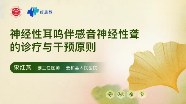 神经性耳鸣伴感音神经性聋的诊疗与干预原则
