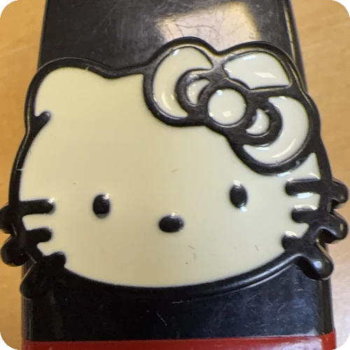 赵冬雪